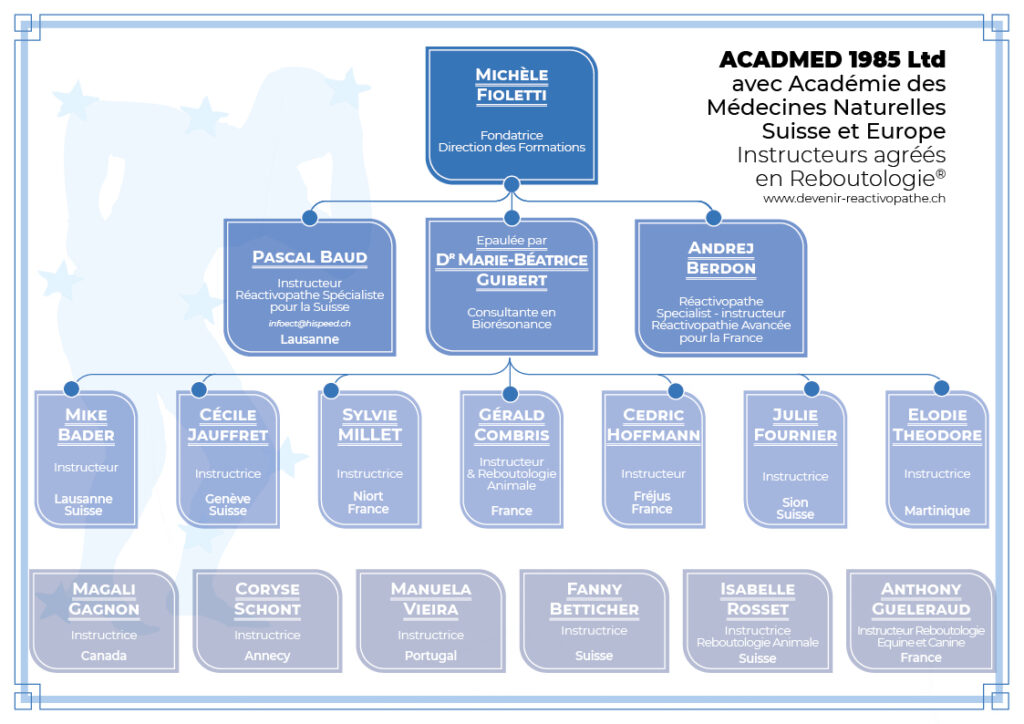 Organigramme